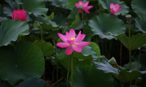 20100719