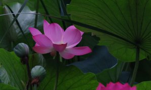 20100719