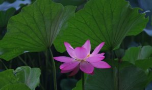 20100719