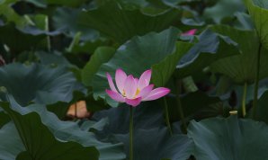 20100719