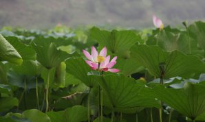20100719