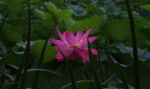 20100719
