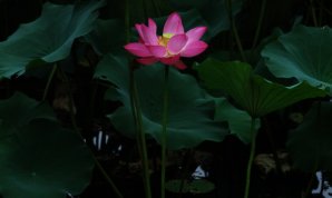 20100719
