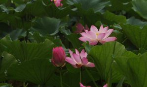 20100719