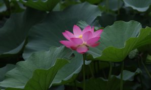 20100719