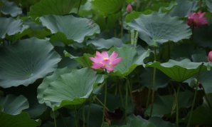 20100719