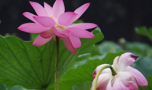 20100719