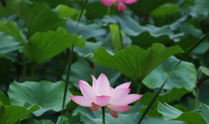 20100719