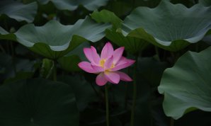 20100719