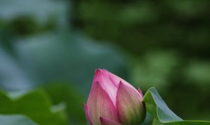 20100719