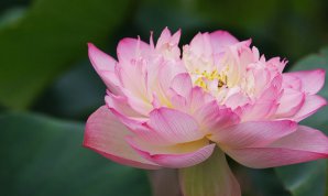 20100719