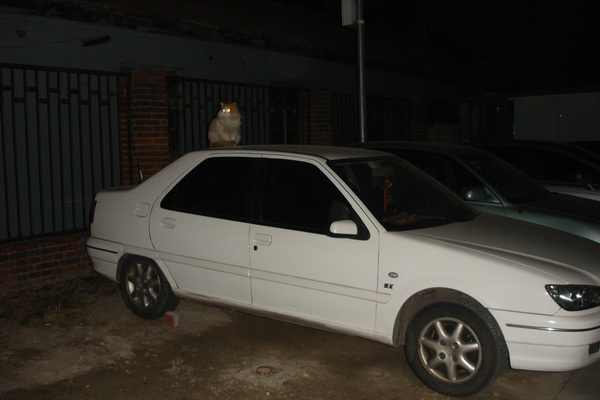 DSC06861